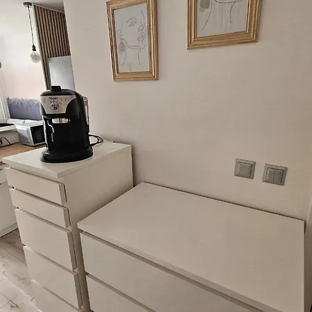 Apartment, Close To The , Downtown, * 格丁尼亚